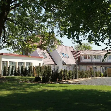 Du Frene Wattignies